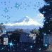 Barry Perez - Facebook