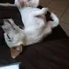 Barry Perez - @barry.perez7 - TikTok