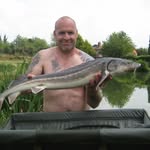 Barry Perkins - @barryperkins36 - Instagram