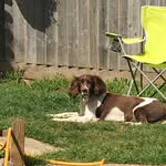 Barry Perkins - @barryperkins827 - Instagram