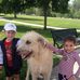 Barry Perlmutter - Facebook