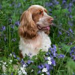 Barry Pickering - @pickeringbarry - Instagram