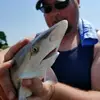 barrypeins - @barrypeins - TikTok