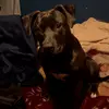Barry - @barrythepitt - TikTok