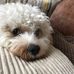 Barry Pitt - Facebook