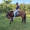 barry plumbs - @barry.plumbs - TikTok
