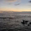 barry_.pff - @barry_.pff - TikTok