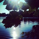 Barry Polak - @polakbarry - Instagram
