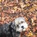 Barry Pomerantz - Facebook