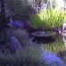 James Barry Koi Pond Design - Facebook