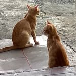 J☆NNYツ - @barry.simba_post - Instagram