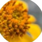 Barry Powers - @barrypowers_ - Instagram