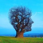 Barry powers - @barrypowers35 - Instagram
