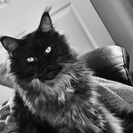 Barry Pratt - @barry.pratt.96 - Instagram