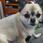 Barry Pratt - @barry.pratt.355 - Instagram