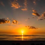 Barry Priddy - @barrypriddy - Instagram