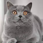 @prins.barry - Instagram