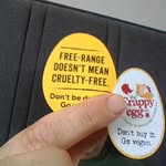 barry raymond petty - @willyweasels - Instagram