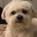 Barry Quick - Facebook