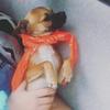 rosie_radcliffe1234 - @barryradcliffe - TikTok