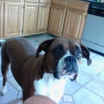 Barry Rawls - Facebook