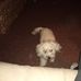 Barry Raynor - Facebook