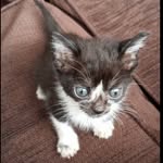 Barry Philip Read - @barry.p.read - Instagram