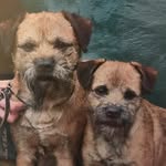 Barry Read - @roxamborbt - Instagram