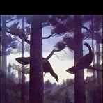 Barry Redinger - Facebook
