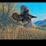 Barry Redinger - Facebook