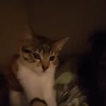 Barry Redmond - @barted12 - Instagram