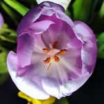 Barry Redmond - @barryredmond365 - Instagram