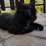 Redmond Barry - @redmondbarry6 - Instagram