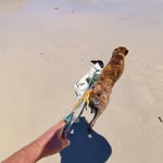 Barry gray - @barryreesgray - Instagram