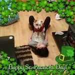 Barry Reilly - @reilly_barry - Instagram