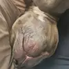 Barry Reilly - @barry.reilly - TikTok