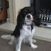 Barry Renshaw - Facebook