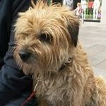 Barry Ricketts - @ricketts_barry - Instagram