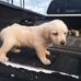 Barry Riddle - Facebook
