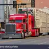 Barry Ridge - @barry.ridge0 - TikTok
