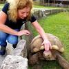 Barb Rivard - @barbrivard - TikTok