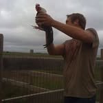 Nick McFee - @barryroad - Instagram