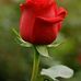 Borey Razark - Facebook