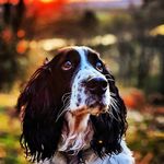 Barry Robbins - @bsrobbins - Instagram