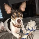 Barry Rollins - @barry.rollins - Instagram