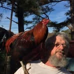 Barry Rollins - Facebook