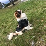 Barry José Roman - @barryjose2021 - Instagram