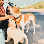 BERRY🍓 & ROMEO🌹 - @berry_romeo_bhai_bhai - Instagram