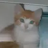 barryrootjes488 - @barryrootjes488 - TikTok