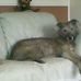 Barry Roper - Facebook